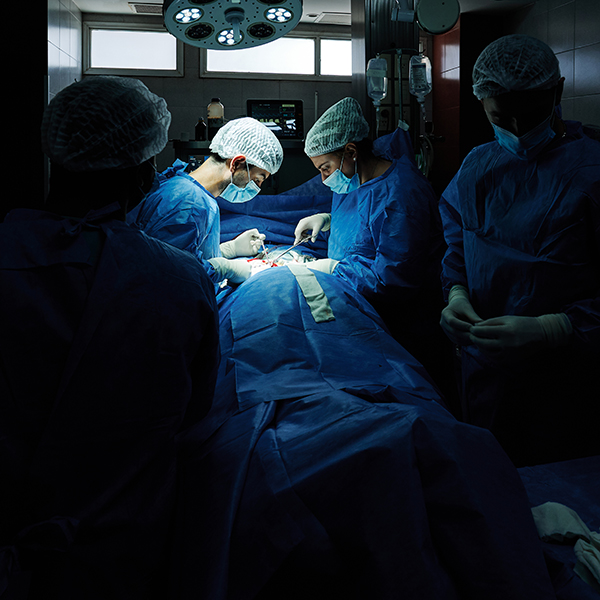 Support after transplants