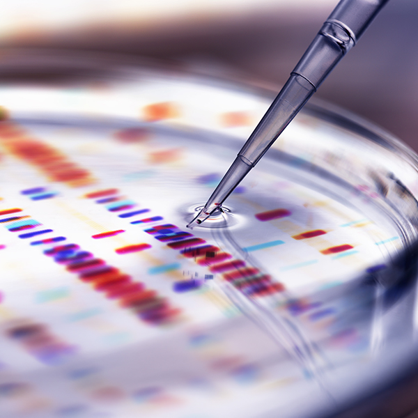 Learn how employers can prepare for high-cost gene and cell therapies with innovative, affordable coverage strategies from Capital Blue Cross.